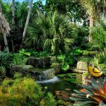 10 Plants to use in Landscape Architecture and why