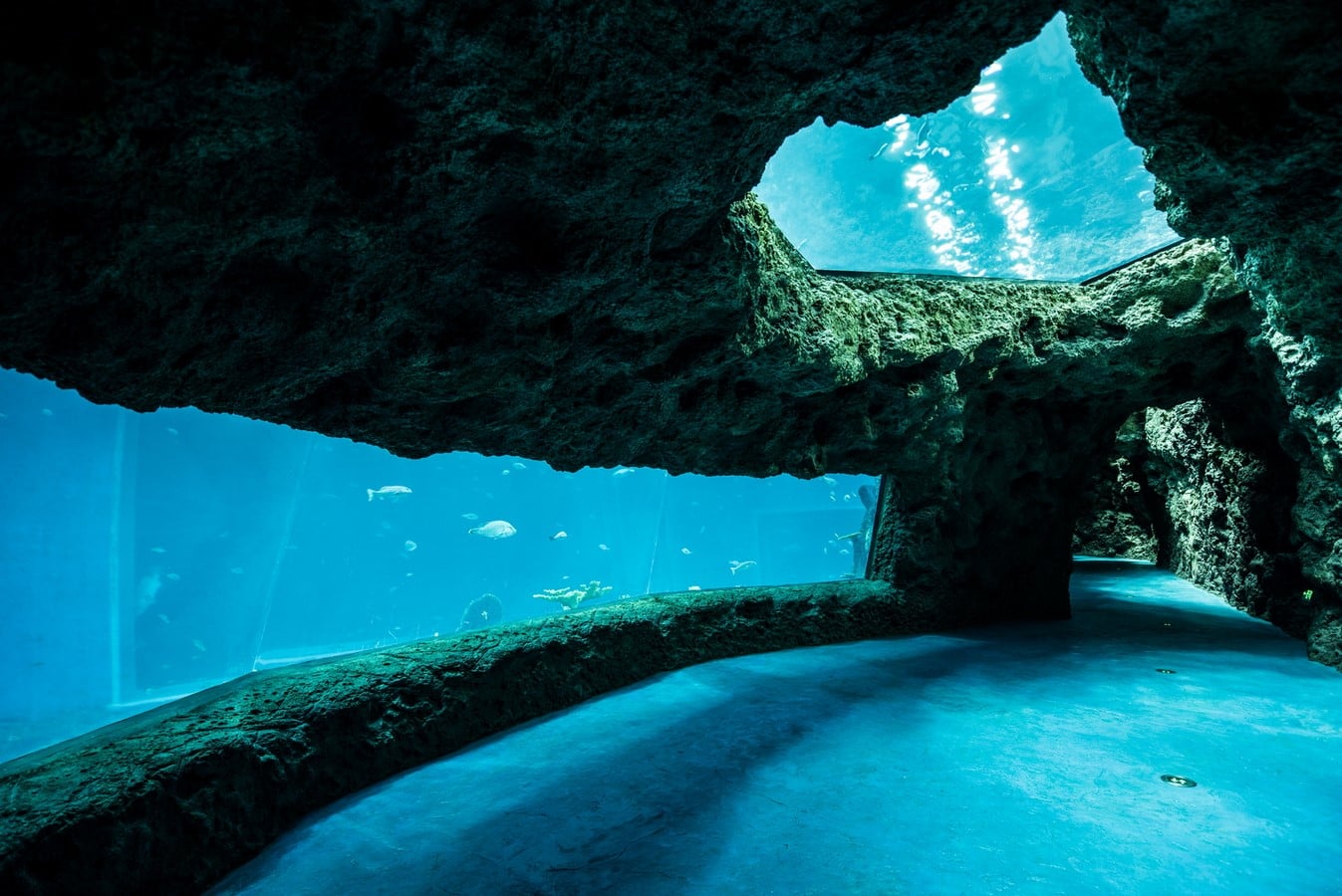 Nanchang Aquarium - Sheet1