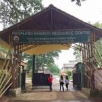 Nagaland Bamboo Development Agency (NBDA): Development of Bamboo in Nagaland - Sheet10