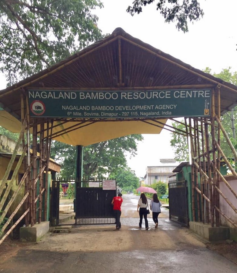 Nagaland Bamboo Development Agency (NBDA): Development of Bamboo in Nagaland - Sheet10