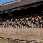 Nagaland Bamboo Development Agency (NBDA): Development of Bamboo in Nagaland - Sheet3