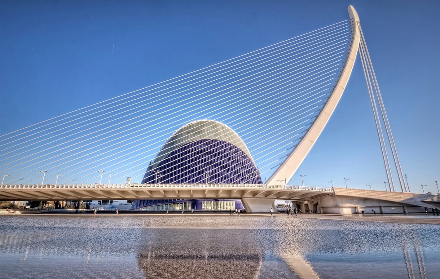 Santiago Calatrava: Modern scientific and cultural complex - Sheet8