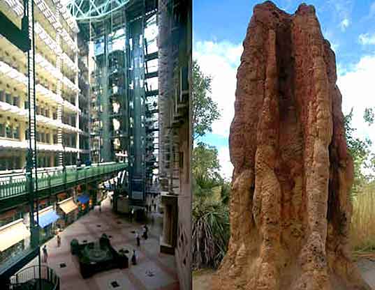 Biomimetic architecture as a step towards Sustainability - Sheet1