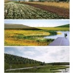 Fresh Kills Park in New York, James Corner - Sheet5