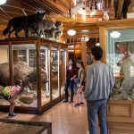 Places to visit in Banff for the Travelling Architect - Sheet3