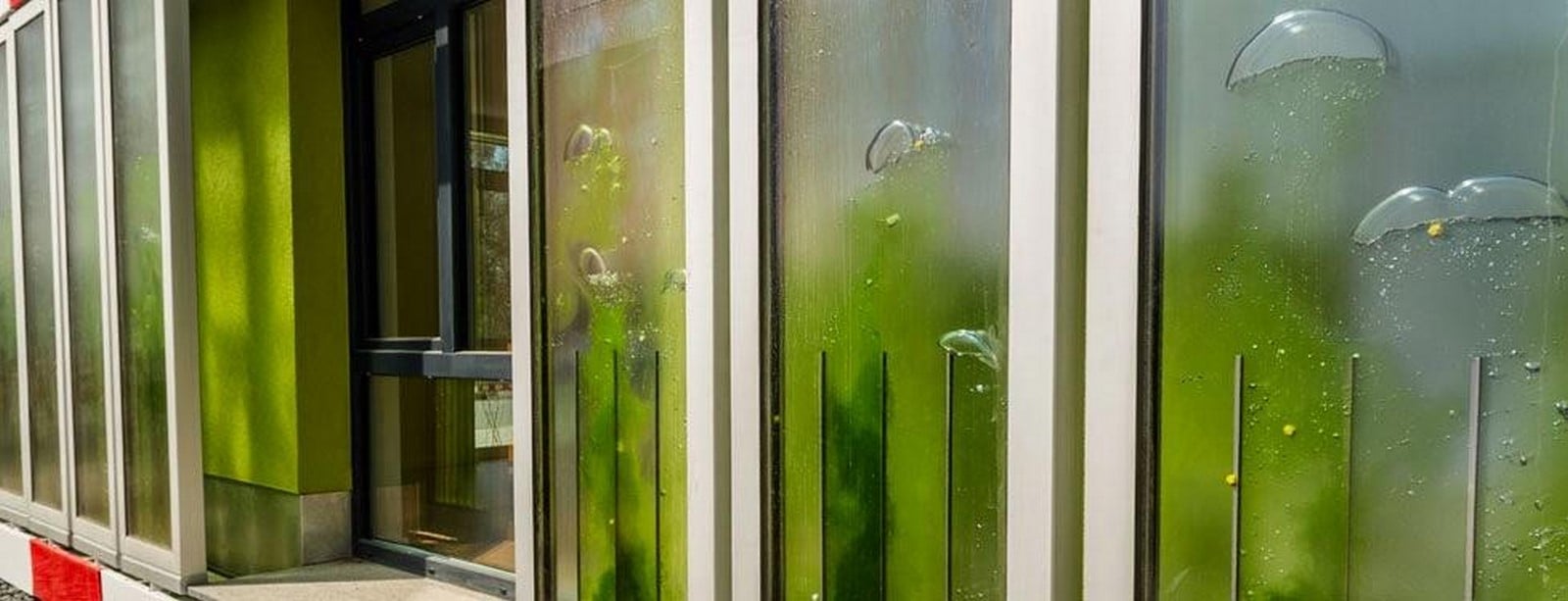 Examples of Biomimicry used in climate responsive architecture - Sheet13