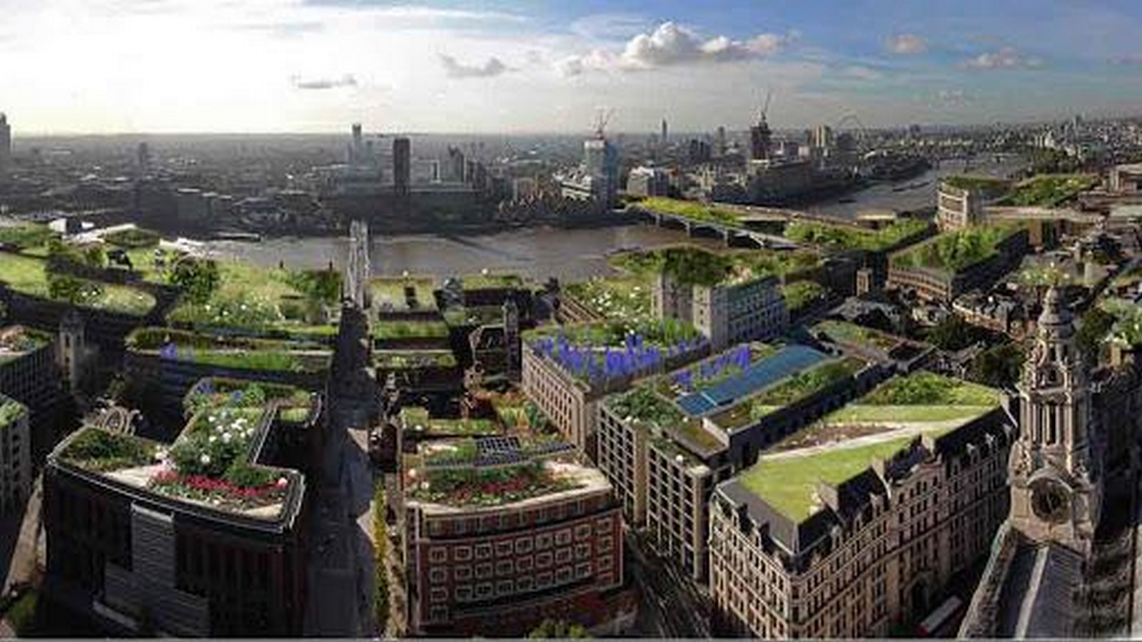 Living Roof and Walls Policy ©www.landscapearchitecture.org.uk/