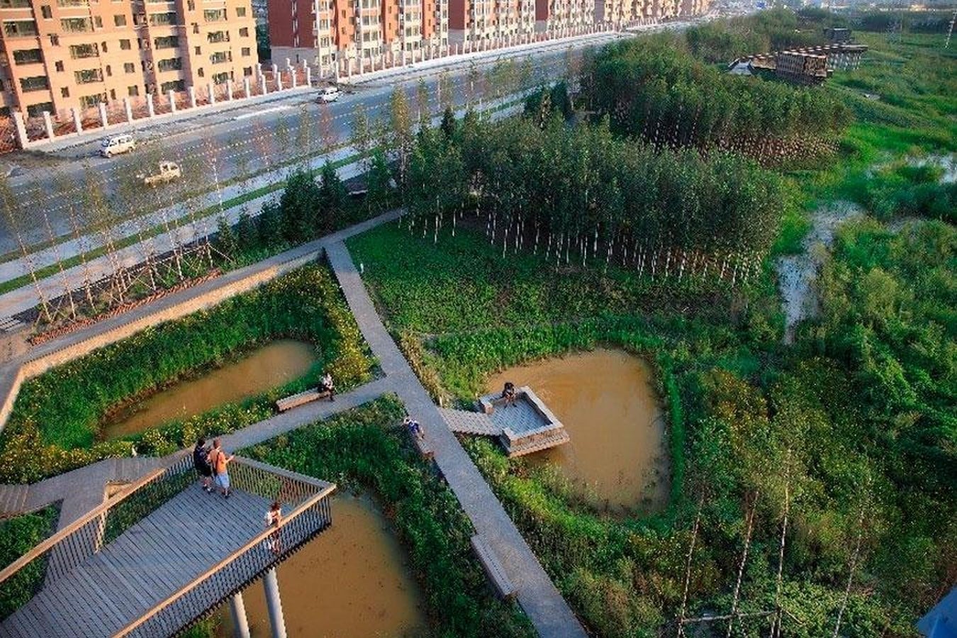 10 Nature based sustainable solutions for cost cutting in architecture - Sheet4