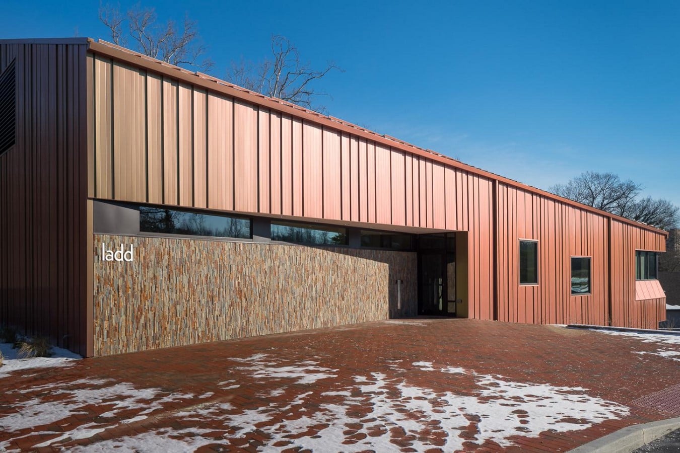 Center for Community Engagement, LADD- sheet3