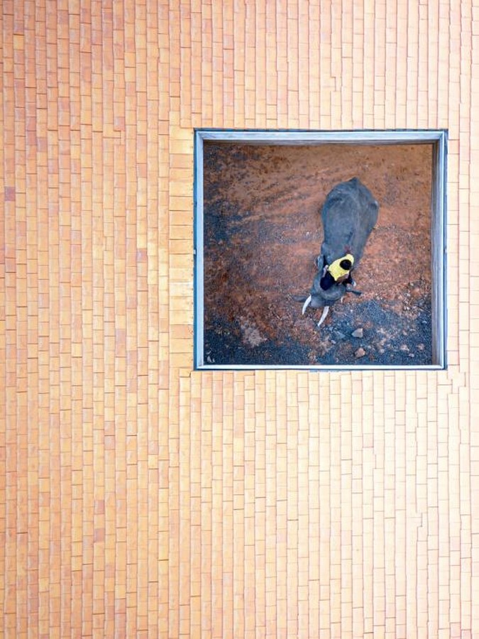 'Cultural courtyard' for elephants + humans in thailand created by Bangkok project studio- sheet7
