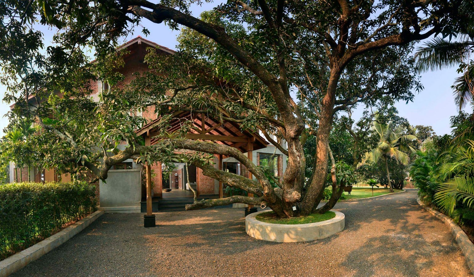 The Mango House - Sheet1