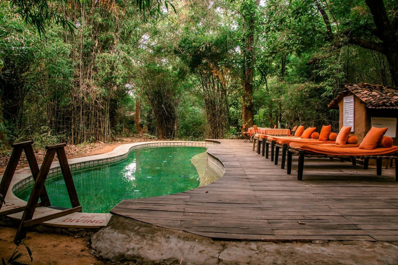 Mahua Kothi (Jungle Lodge) - Sheet2