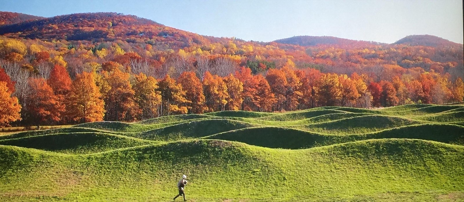 Wavefield: Maya Lin
