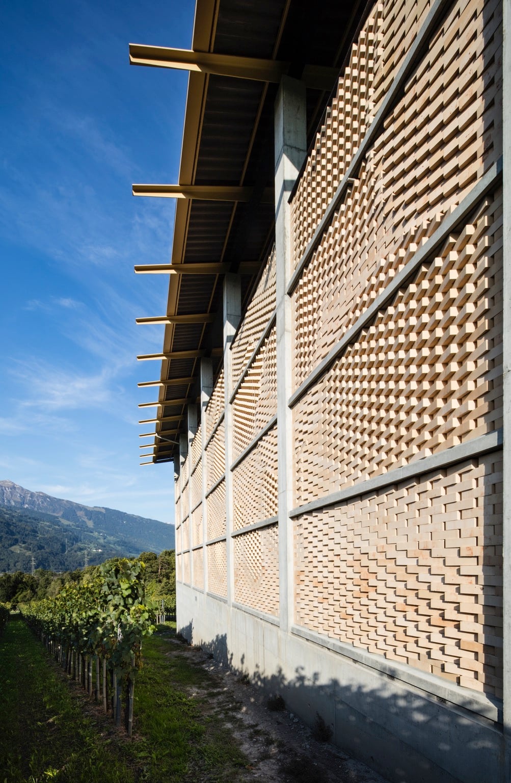 Gantenbein Vineyard, Flash - Sheet2