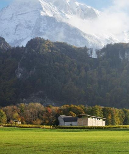 Gantenbein Vineyard, Flash - Sheet3
