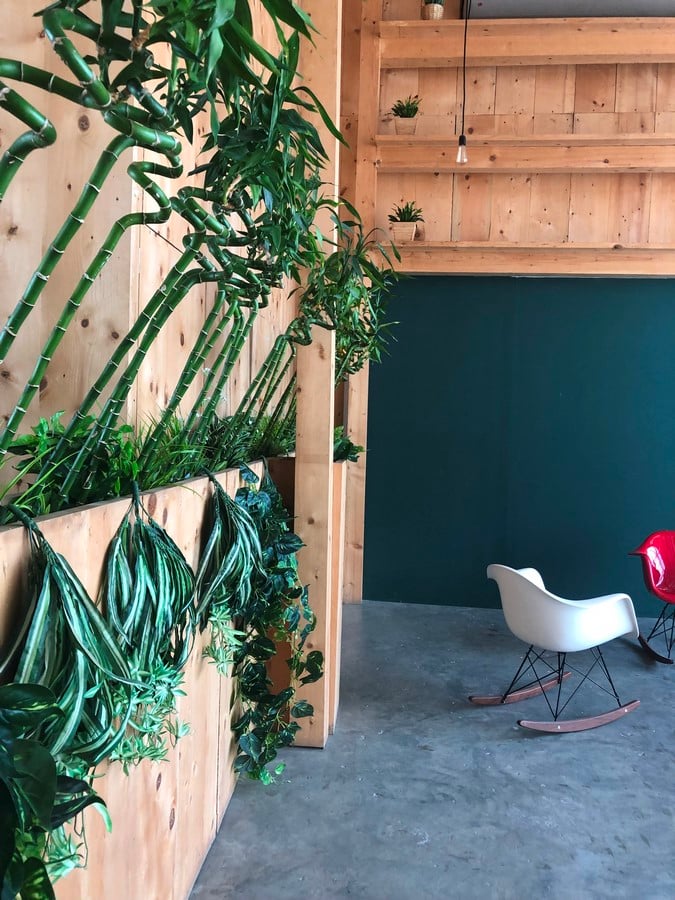 The Picture Perfect Plant in a Millennial Home - Sheet2