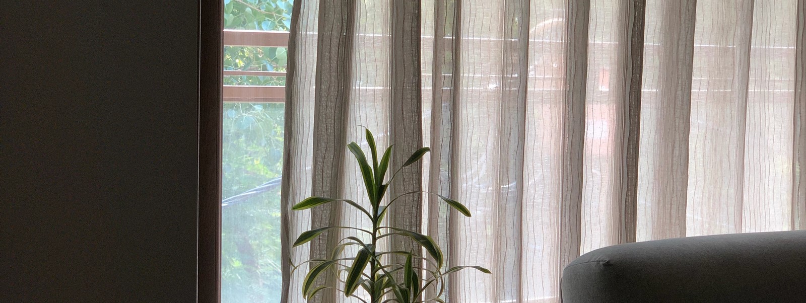 The Picture Perfect Plant in a Millennial Home - Sheet5