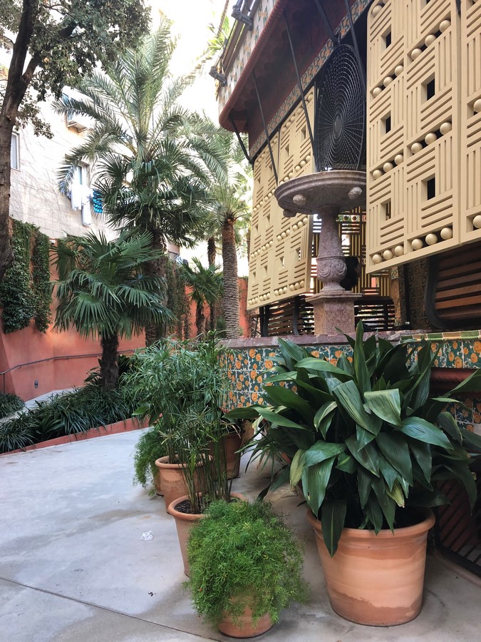 The Picture Perfect Plant in a Millennial Home - Sheet7