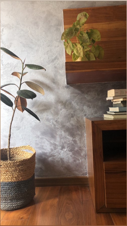 The Picture Perfect Plant in a Millennial Home - Sheet8