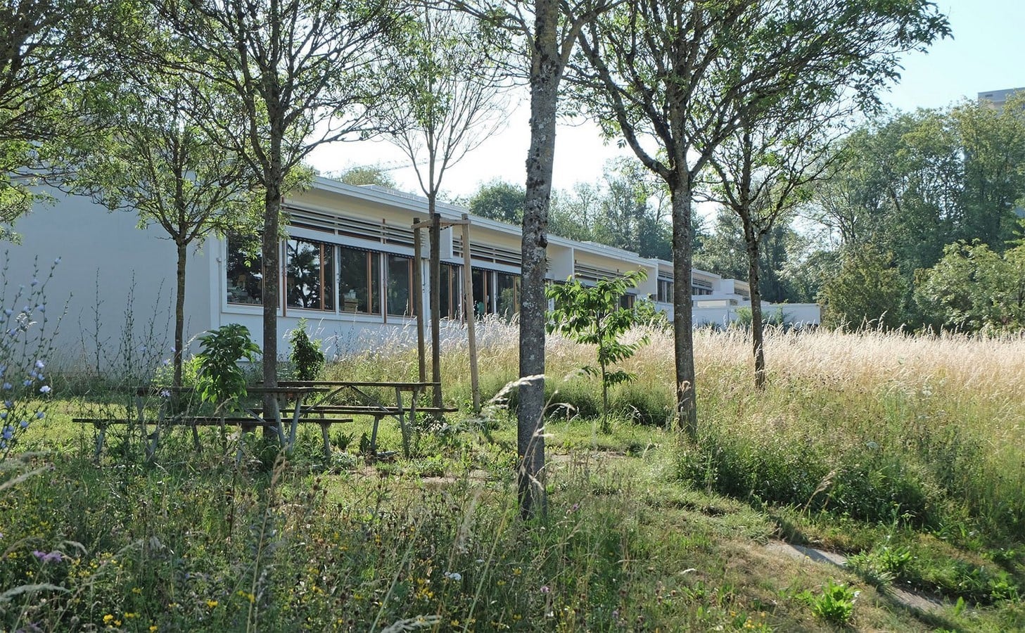 Riedhof School - Sheet3