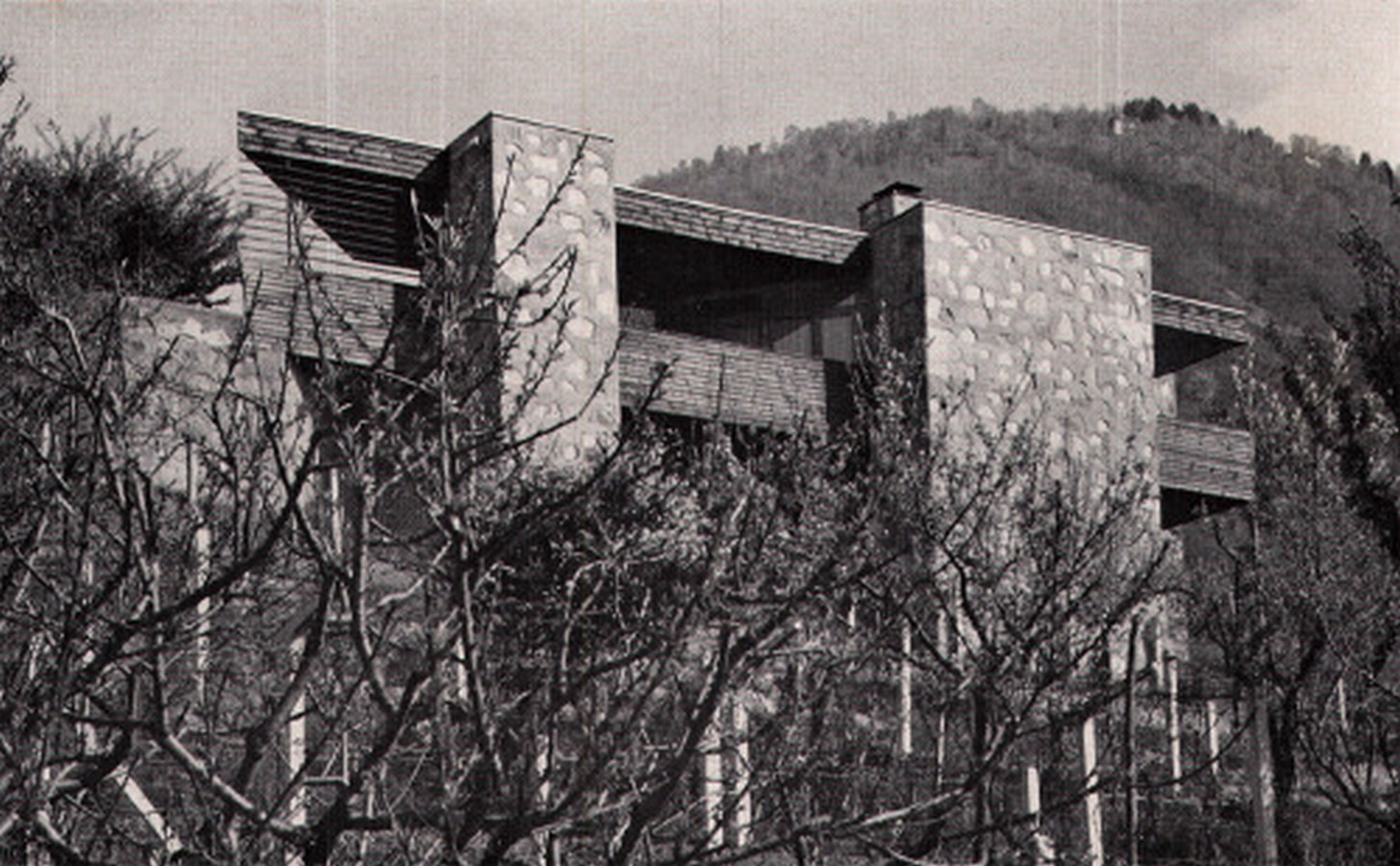 Luigi Camenisch- The unknown guard of modernism- Sheet7