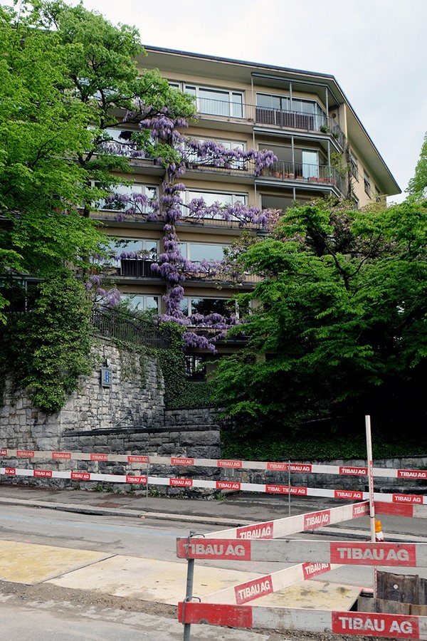 Apartment Buildings Hohenbühl - Sheet2