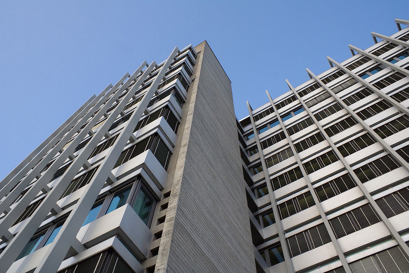 Highrise to the palm tree - Sheet1