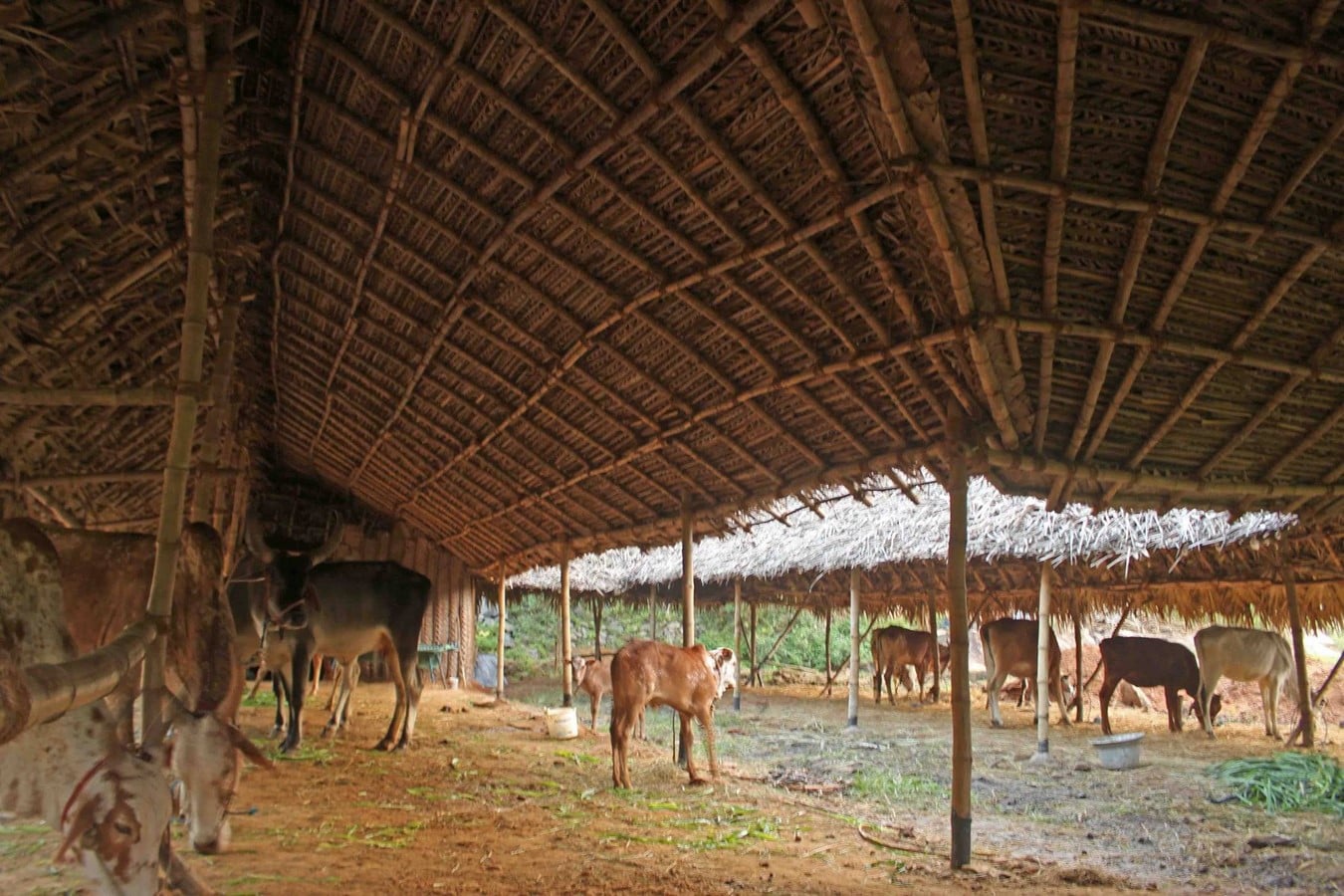 COW SHELTER, POLUR, TAMIL NADU - Sheet2