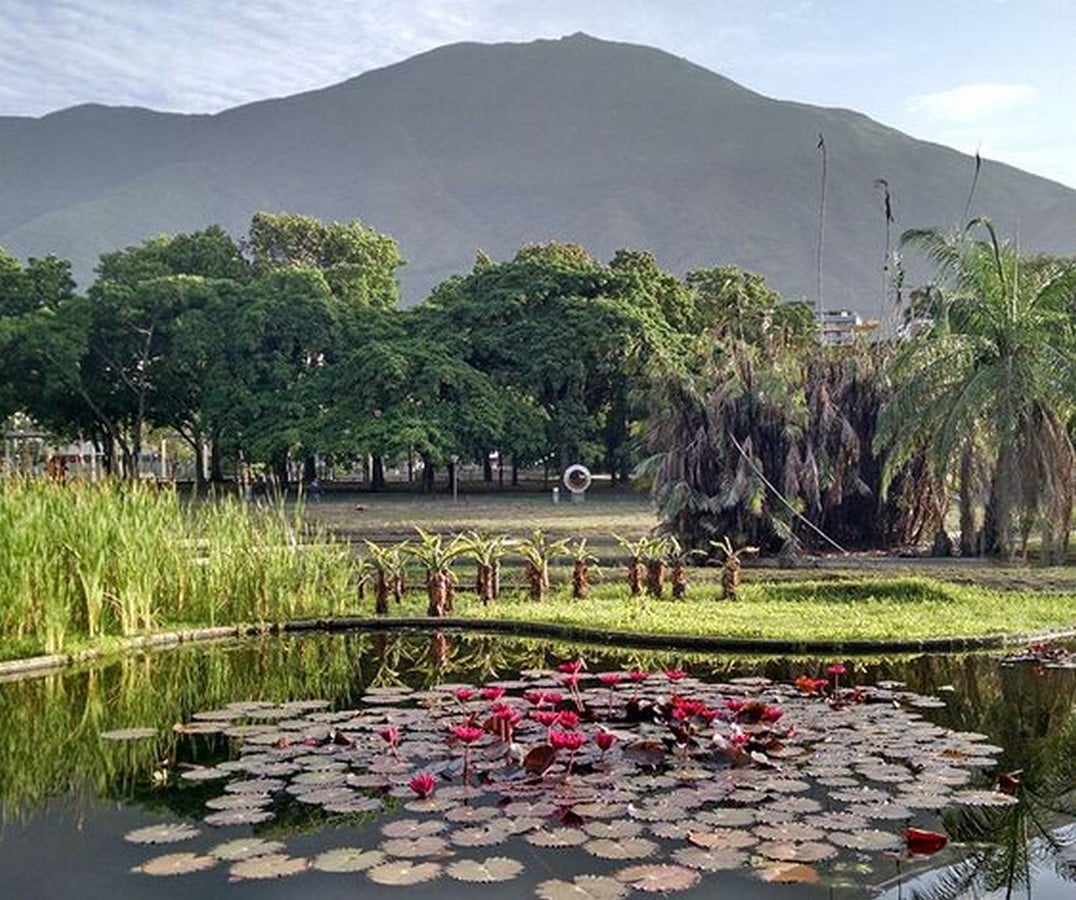 Parque del Este, Caracas, Venezuela - Sheet1