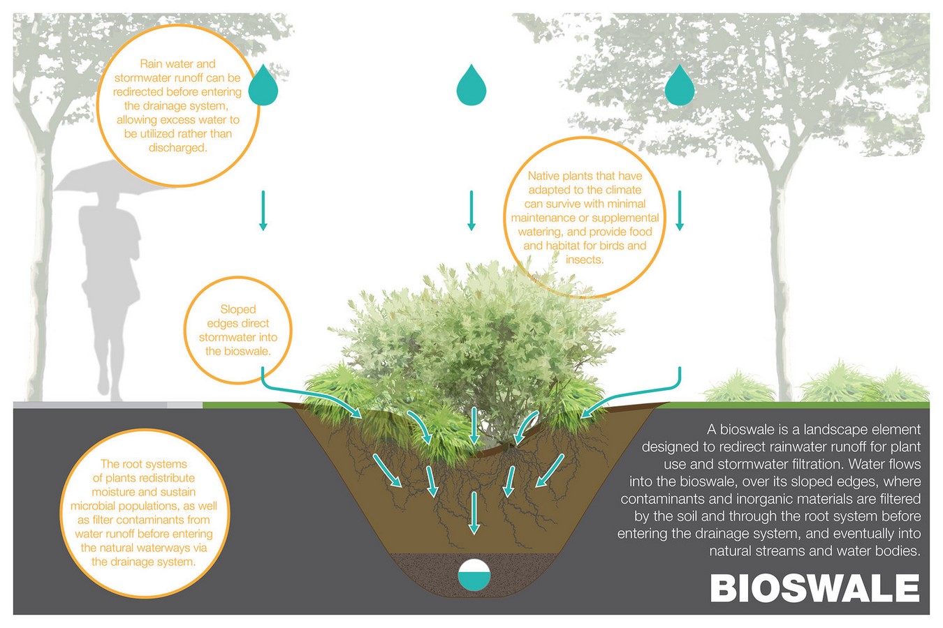 10 practices in Landscape architecture that you did not know were unsustainable - Sheet8