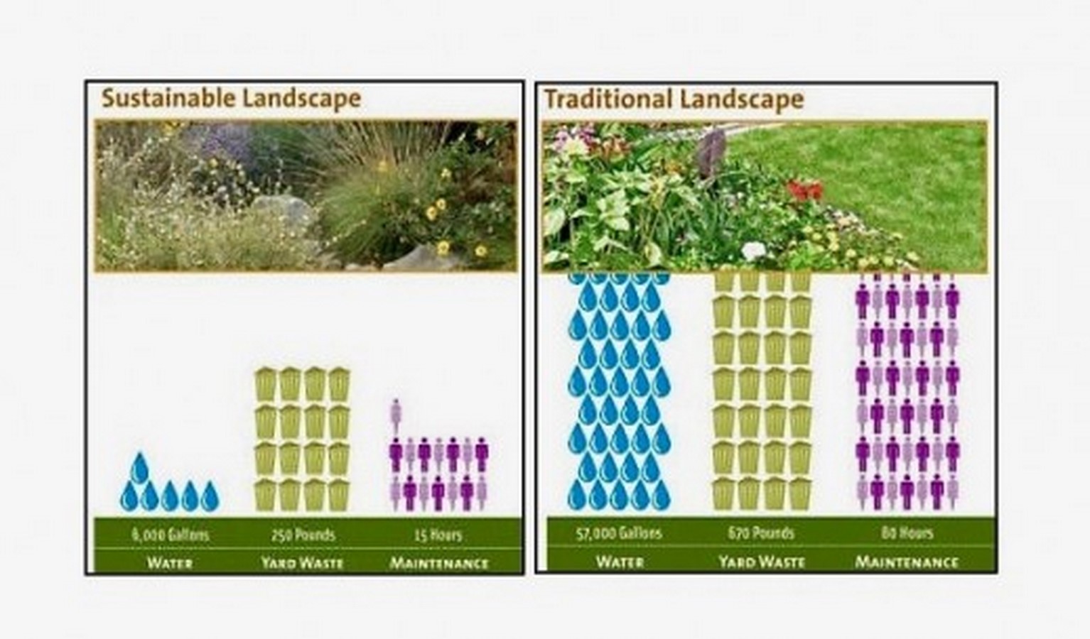 10 practices in Landscape architecture that you did not know were unsustainable - Sheet9