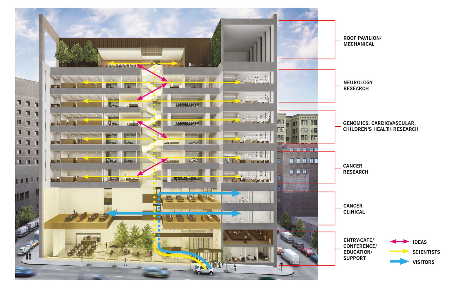 Mount Sinai Hess Centre for Science and Medicine: - Sheet2