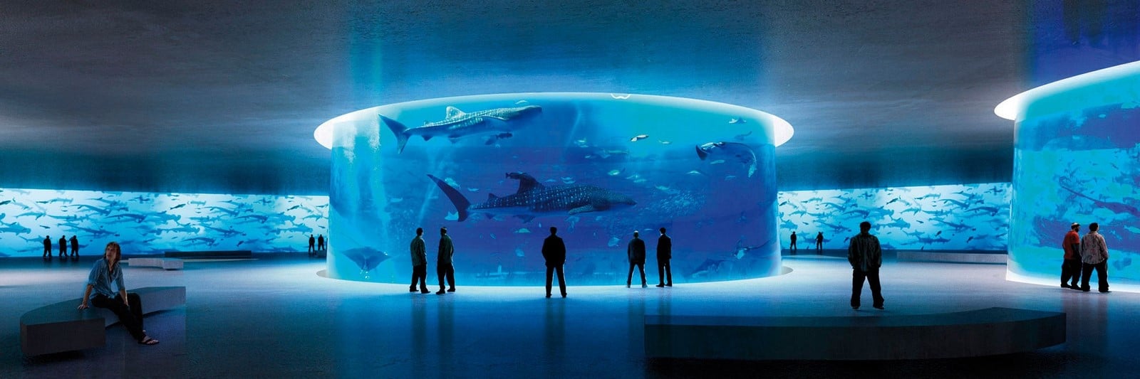 Aquarium – New York - Sheet1