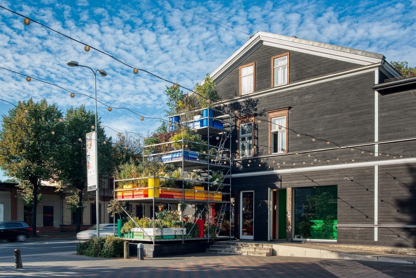 Riga's First Urban Vertical Garden To Test The Effect Of Urban Environment created by Annvil - Sheet1