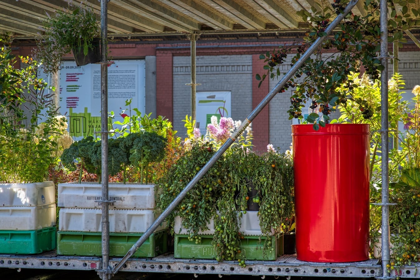 Riga's First Urban Vertical Garden To Test The Effect Of Urban Environment created by Annvil - Sheet3