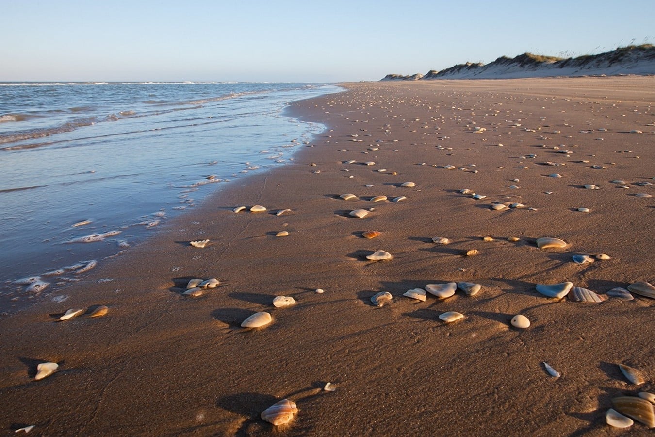 Sea Stone  - Sheet1