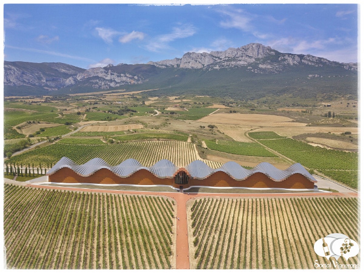 BODEGAS YSIOS WINERY (2001) - Sheet2