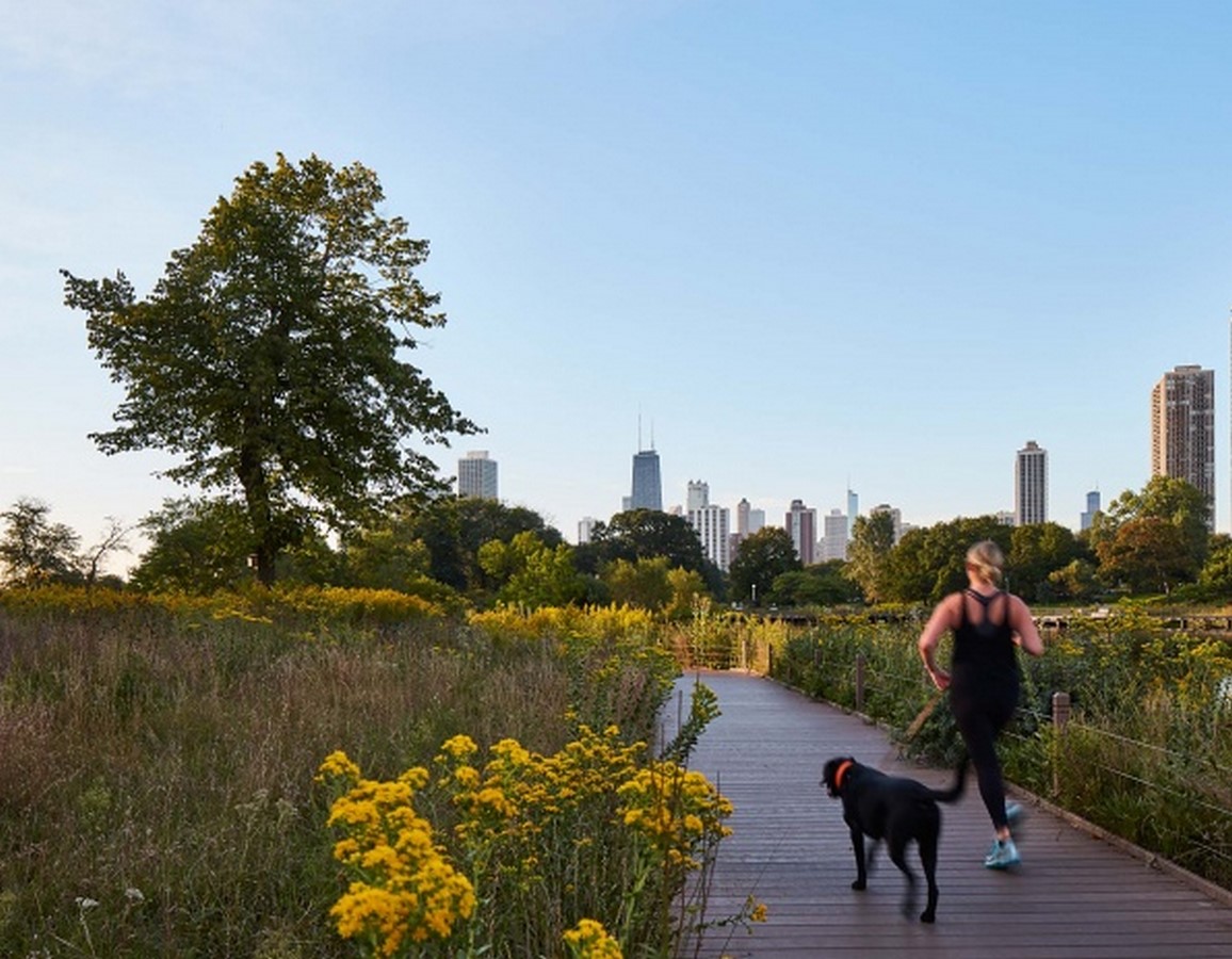 Nature Boardwalk at Lincoln Park Zoo by Studio Gang- A model for urban conservation and sustainability - Sheet10