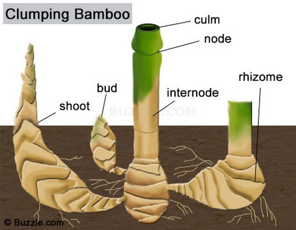 Construction techniques used in Bamboo Architecture - Sheet1