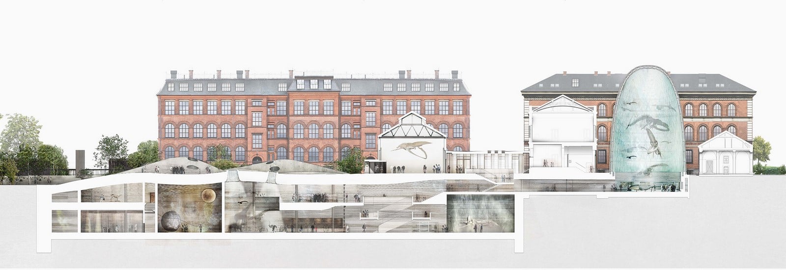 Natural History Museum of Denmark - Sheet2