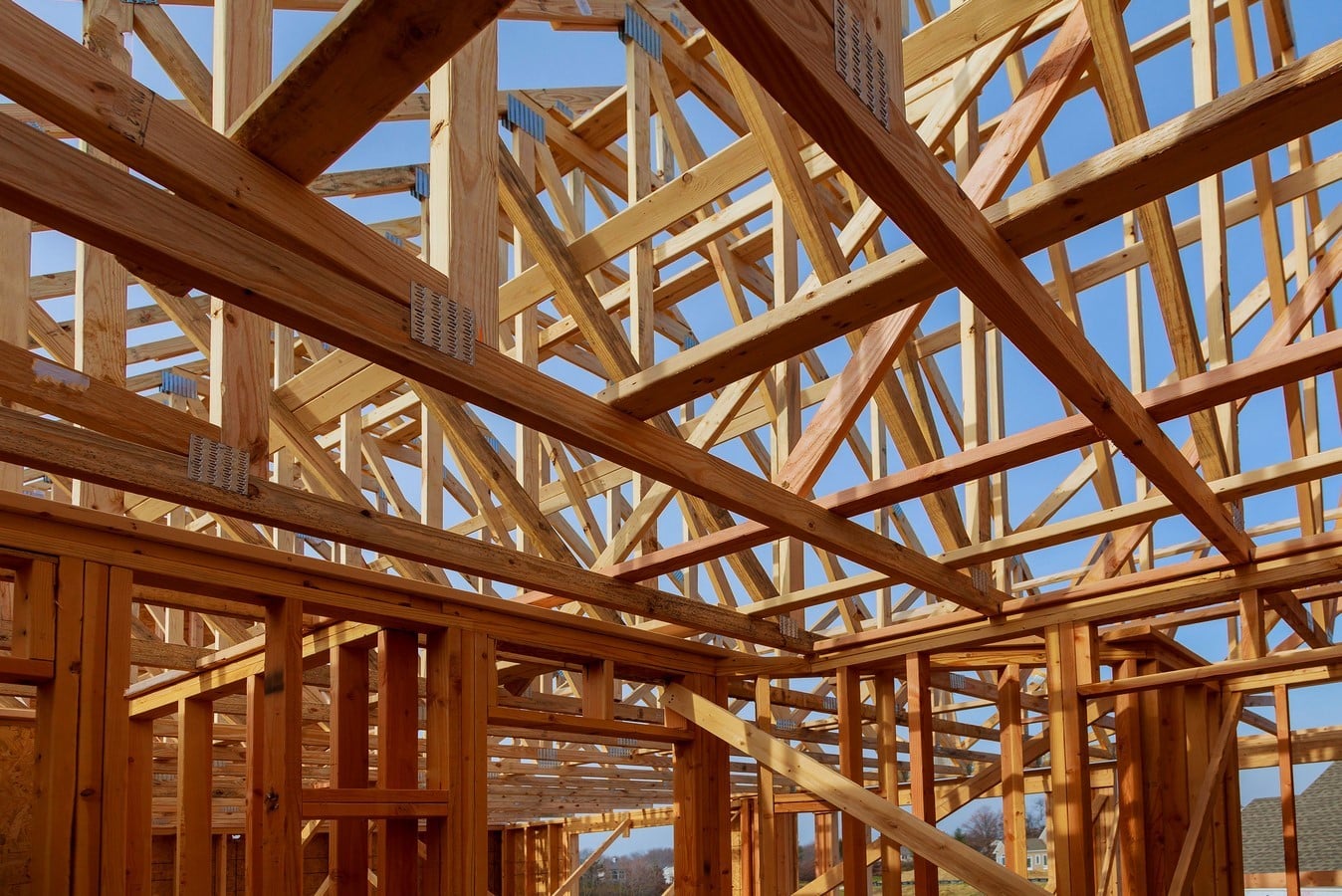 Biodegradable Example - Timber