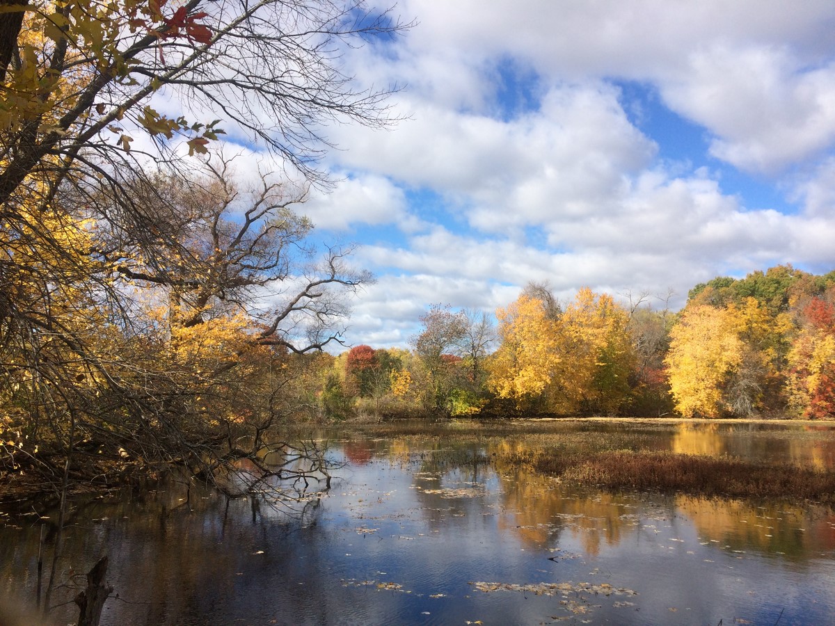 Fresh Pond Reservation - Sheet1