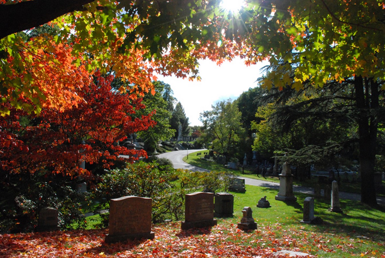 Mount Auburn Cemetery - Sheet1