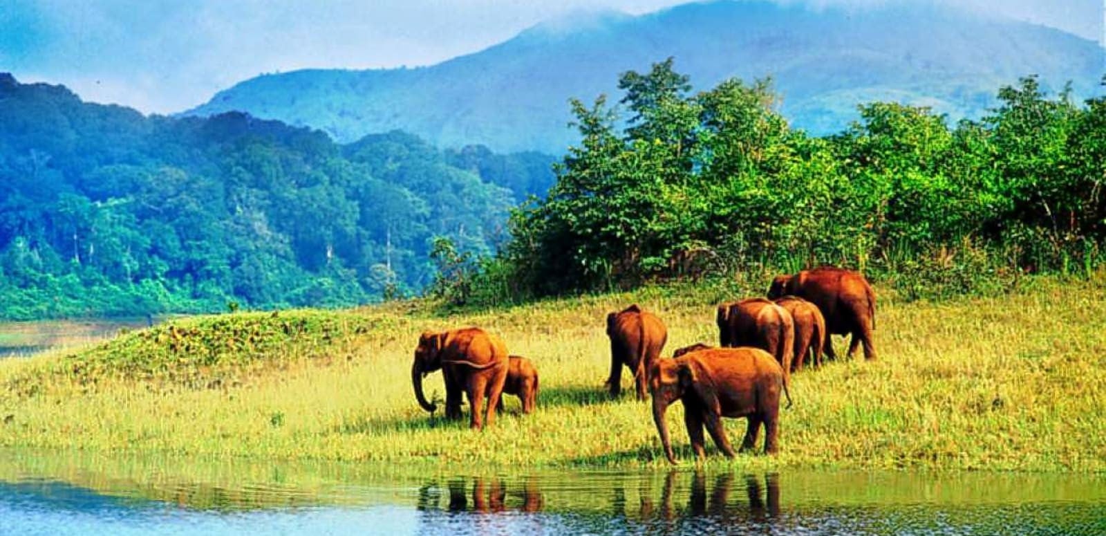 Neyyar Dam and Wildlife Sanctuary- Sheet2