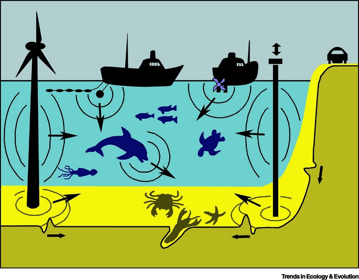 History and future of underwater architecture - Sheet1