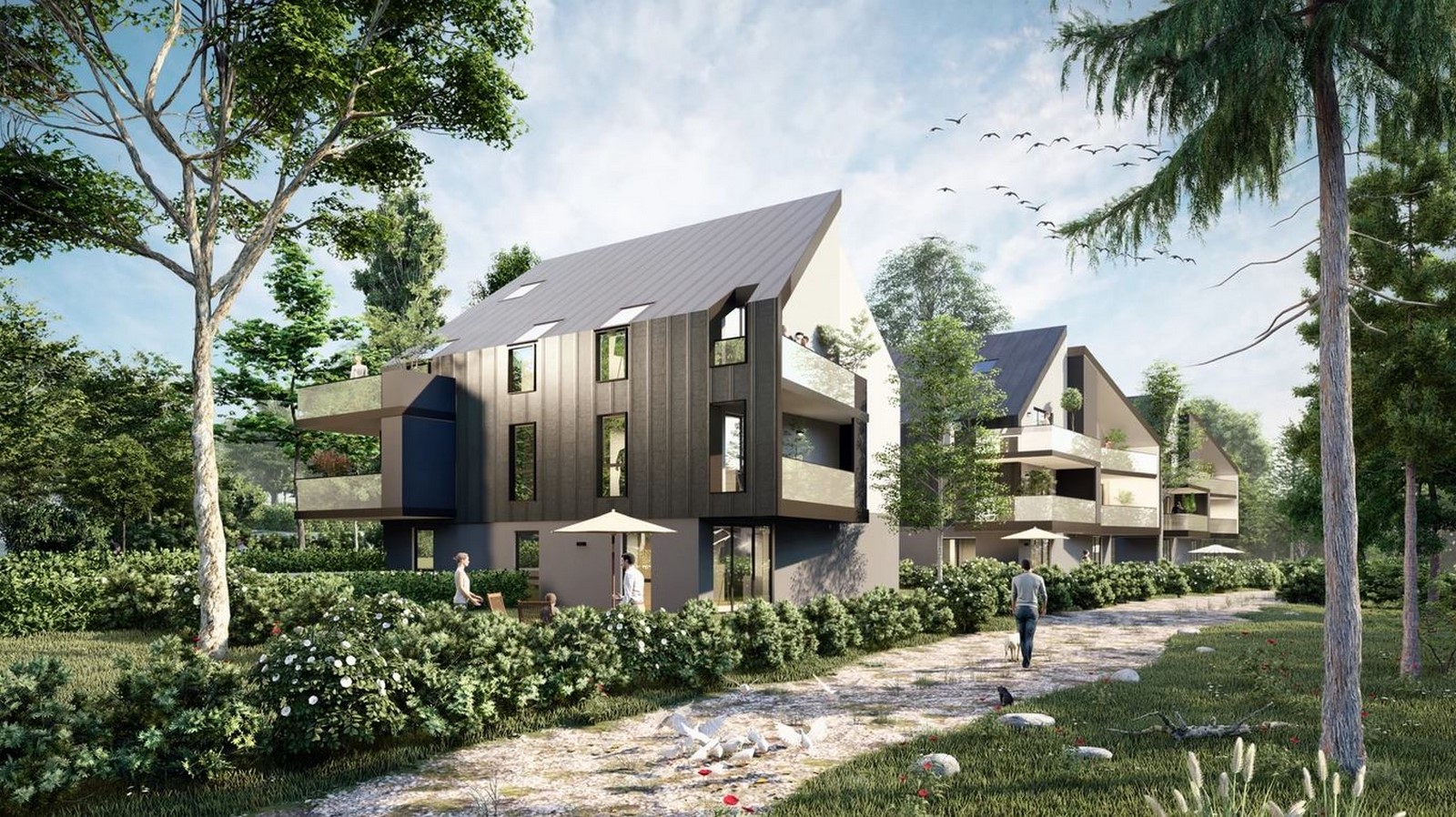 AA+ Architects