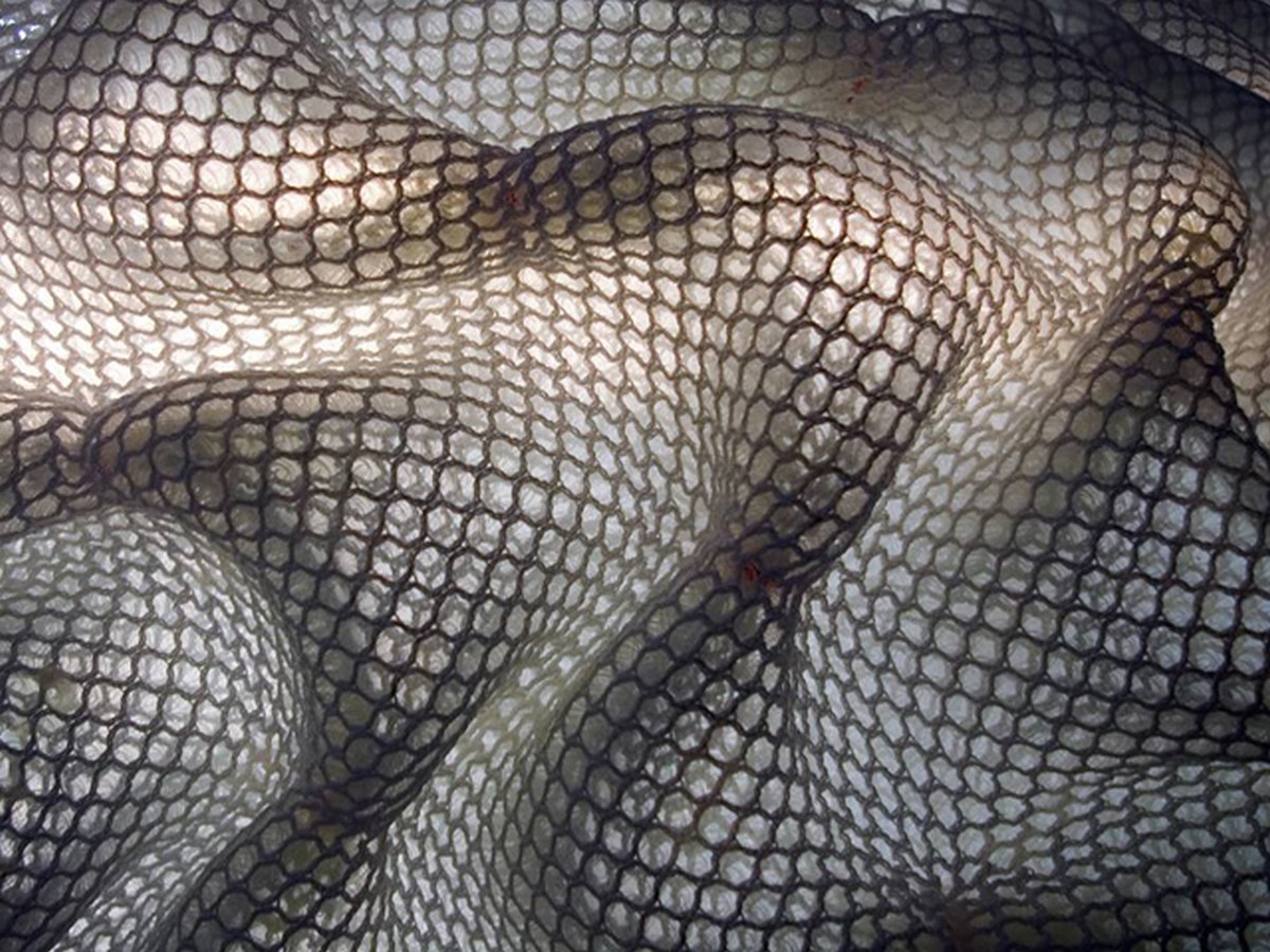 Achim Menges- 15 Iconic Projects