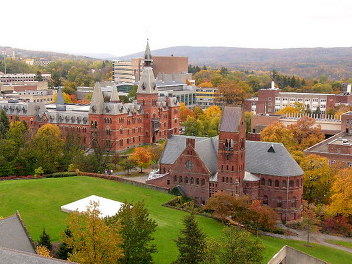 10 Best universities in the world for Bachelors in Architecture- Sheet5