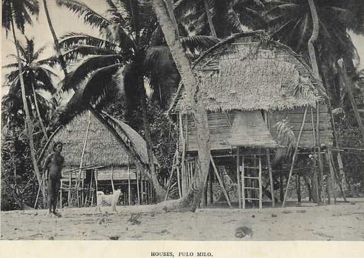 Vernacular Architecture: Andaman and Nicobar Islands - Sheet7