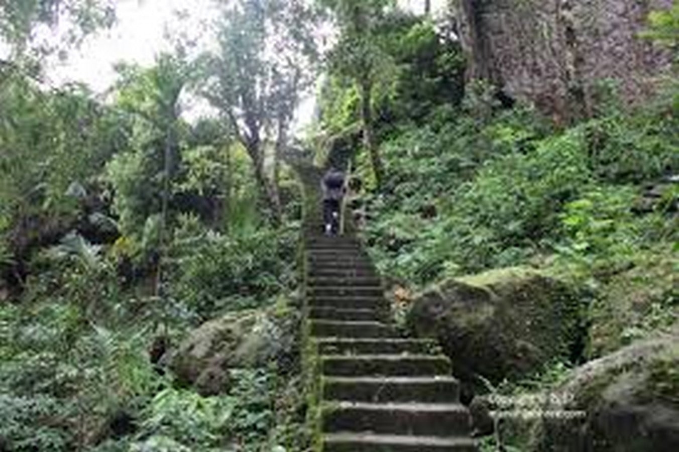 NONGRIAT, MEGHALAYA - Sheet1